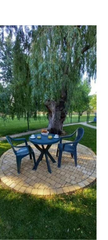Logement Lumineux, Entierement Renove Avec Jardin Caumont-sur-Durance Εξωτερικό φωτογραφία